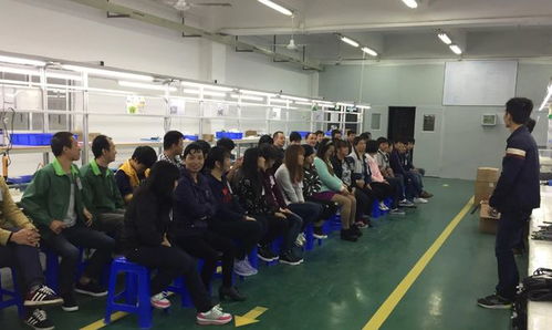 先就業再擇業 大學教授呼吁雙非畢業生務實面對就業市場