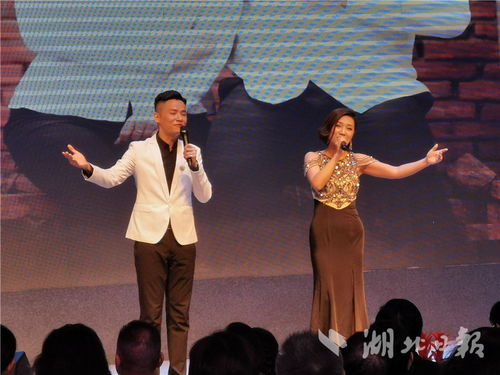 湖北省文藝界原創(chuàng)音樂作品專題演唱會成功舉辦，系列公益演出持續(xù)惠民